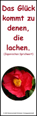 6-Lesezeichen.jpg